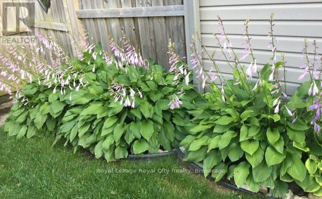 120 Winston Street, Guelph/eramosa, Ontario  N0B 2K0 - Photo 34 - X13038148