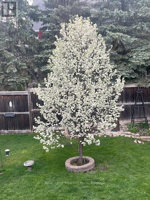 120 Winston Street, Guelph/eramosa, Ontario  N0B 2K0 - Photo 40 - X13038148