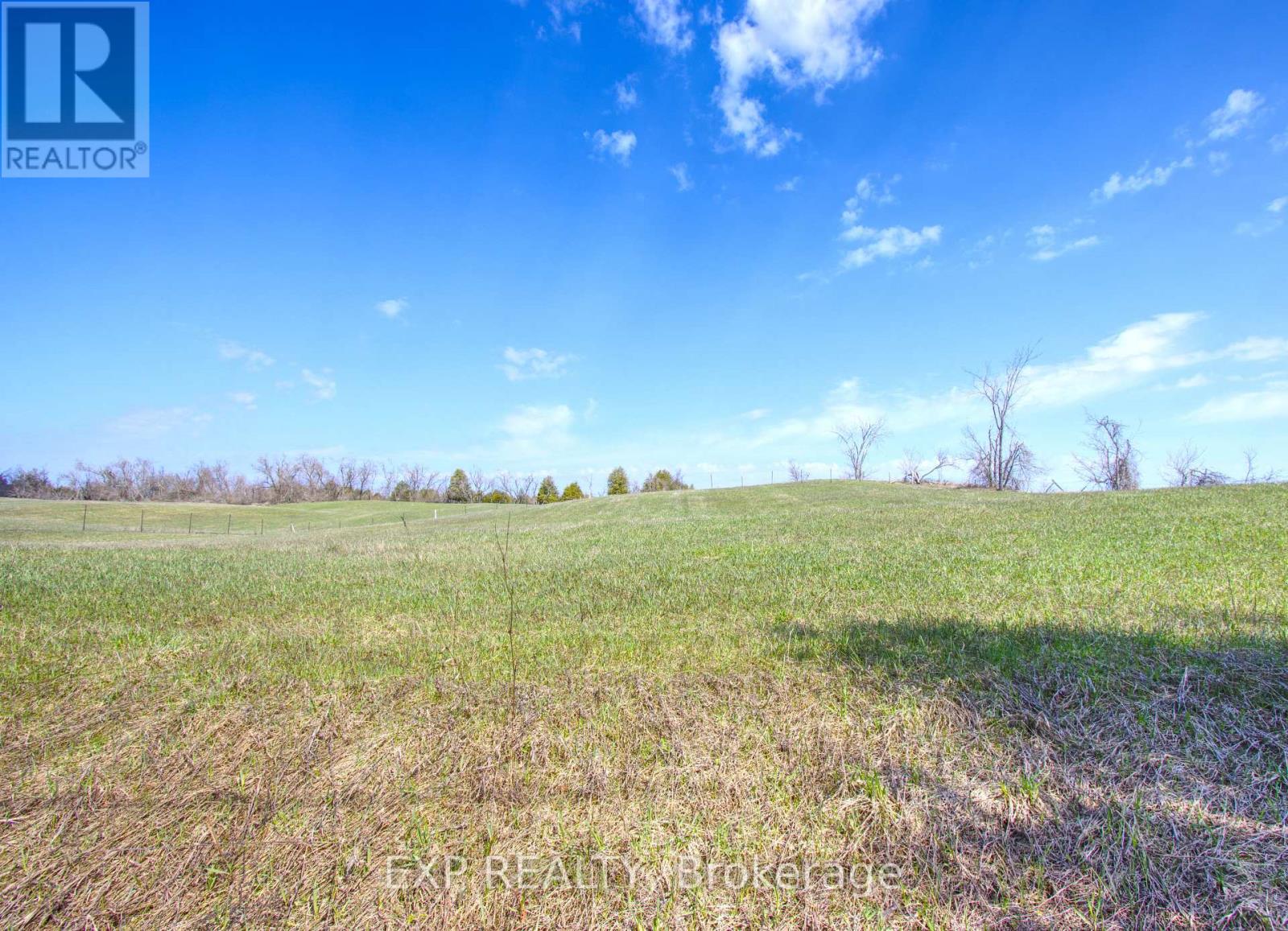00 Webster Road, Douro-Dummer, Ontario  K0L 2V0 - Photo 11 - X13038244