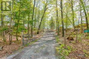 787 Sherbrooke Drive, Frontenac, Ontario  K0H 2B0 - Photo 25 - X13038262