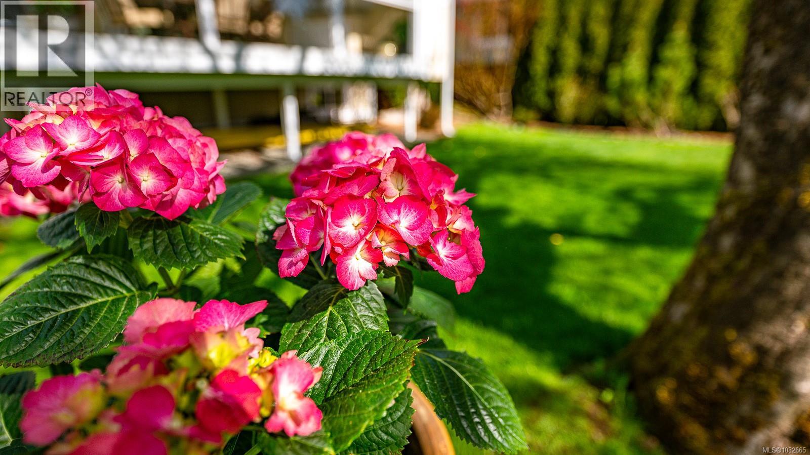 787 Stewart Ave, Courtenay, British Columbia  V9N 3H3 - Photo 68 - 1032665