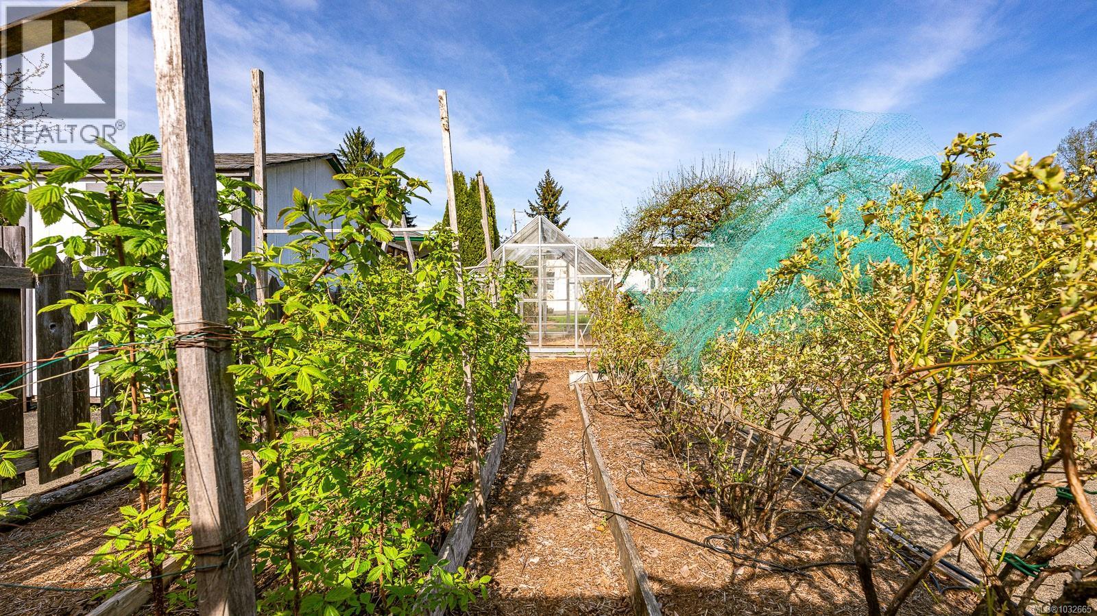 787 Stewart Ave, Courtenay, British Columbia  V9N 3H3 - Photo 61 - 1032665