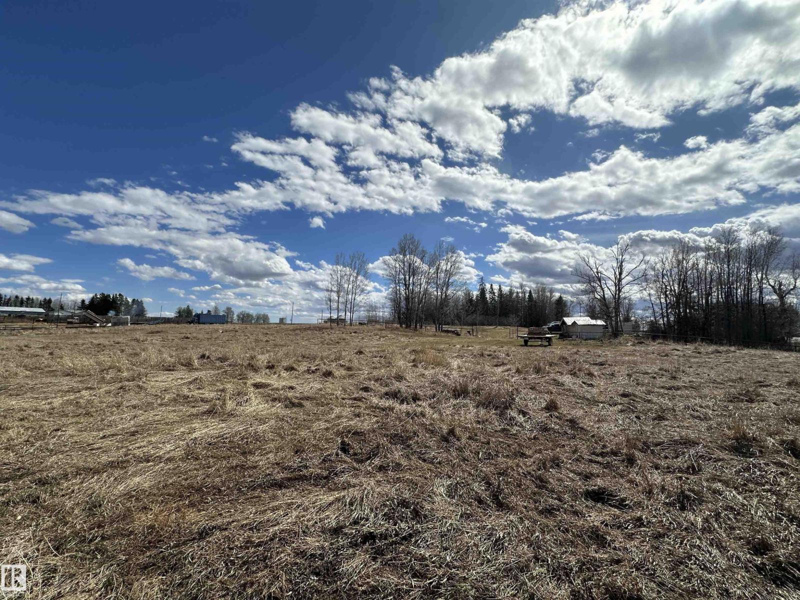 4930 50 Av, Rural Brazeau County, Alberta  T0C 1W0 - Photo 15 - E4483893
