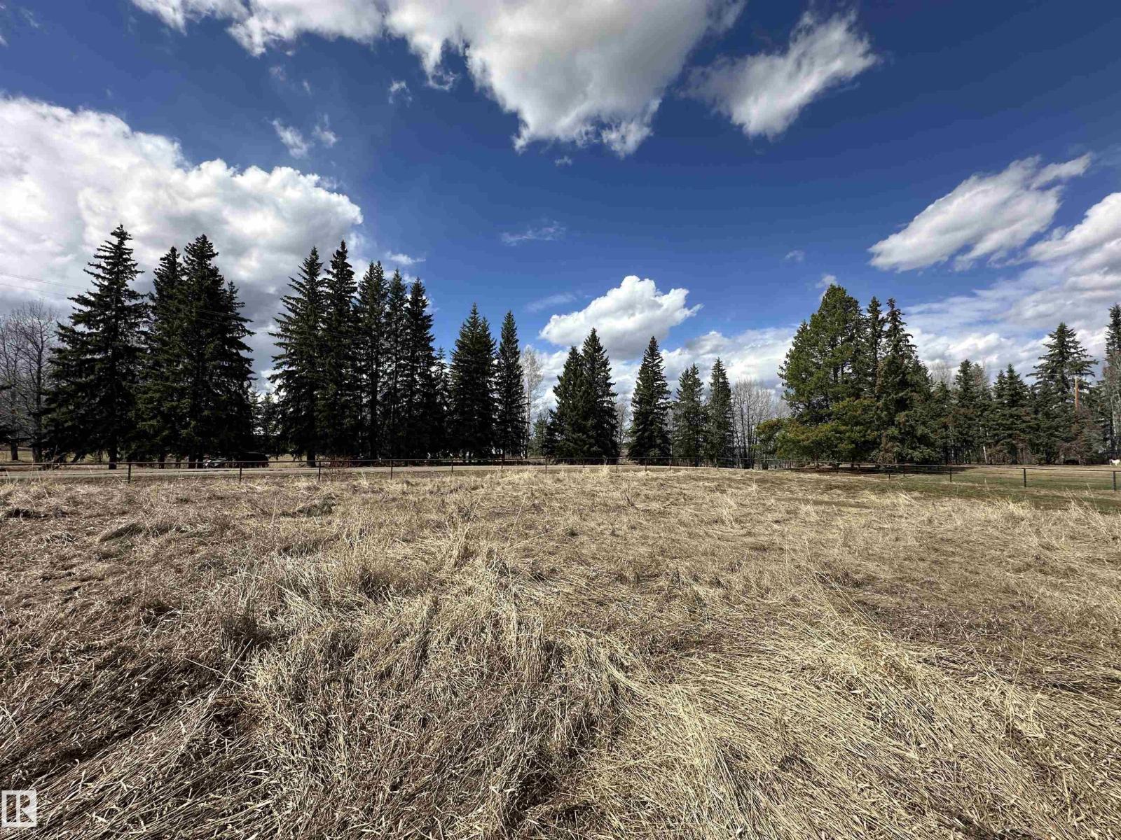 4930 50 Av, Rural Brazeau County, Alberta  T0C 1W0 - Photo 16 - E4483893