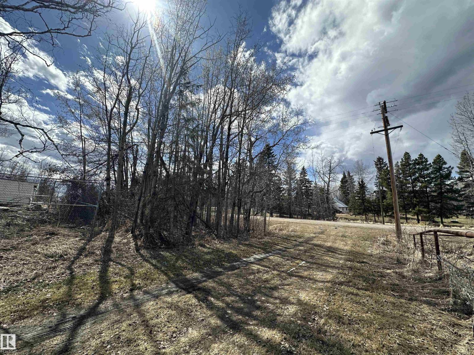 4930 50 Av, Rural Brazeau County, Alberta  T0C 1W0 - Photo 3 - E4483893