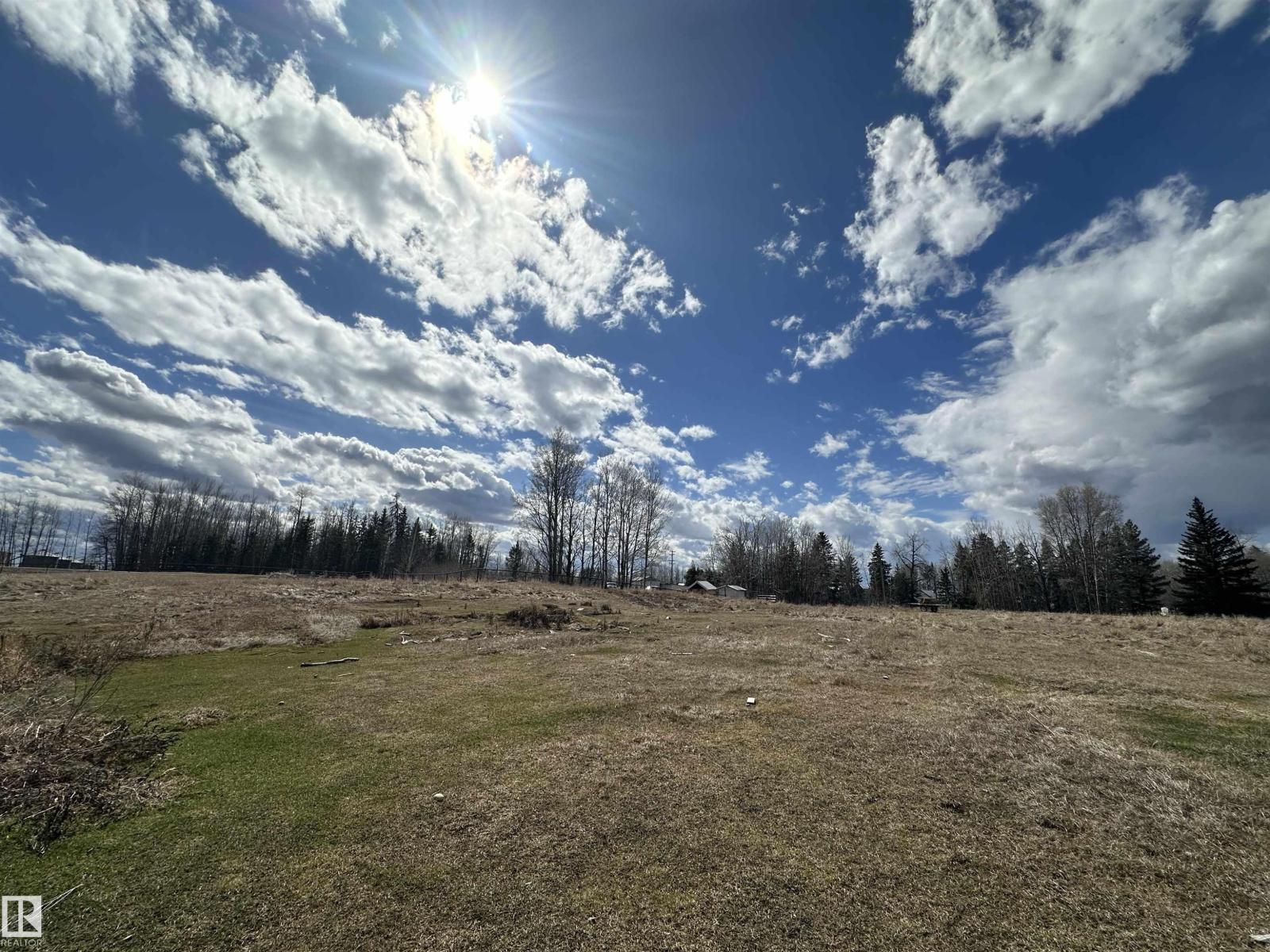 4930 50 Av, Rural Brazeau County, Alberta  T0C 1W0 - Photo 8 - E4483893