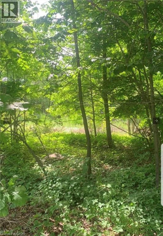 Lot 12 Suter Drive, Kawartha Lakes, Ontario  K0M 1B0 - Photo 2 - 40823795