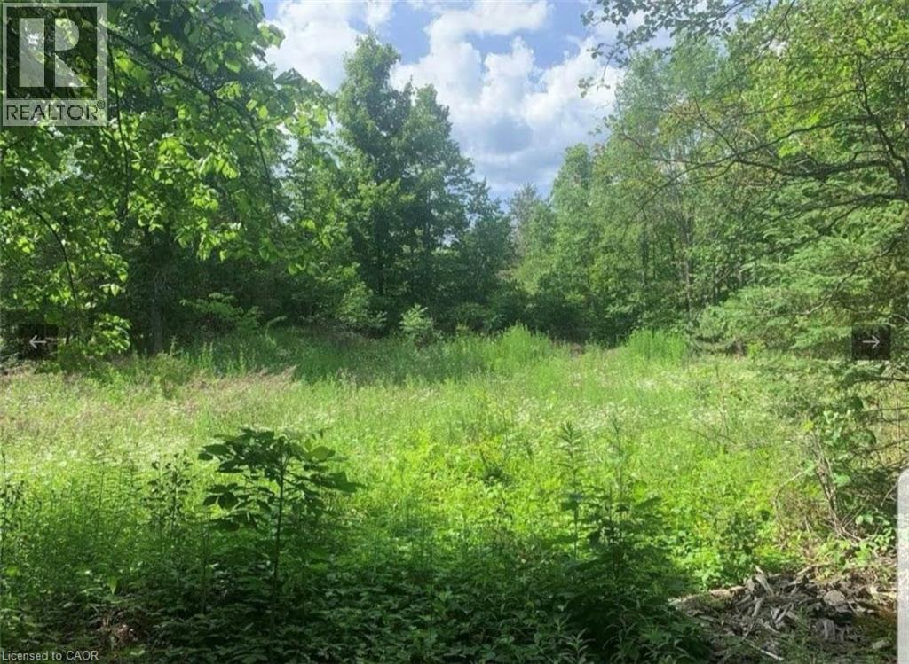 Lot 12 Suter Drive, Kawartha Lakes, Ontario  K0M 1B0 - Photo 3 - 40823795