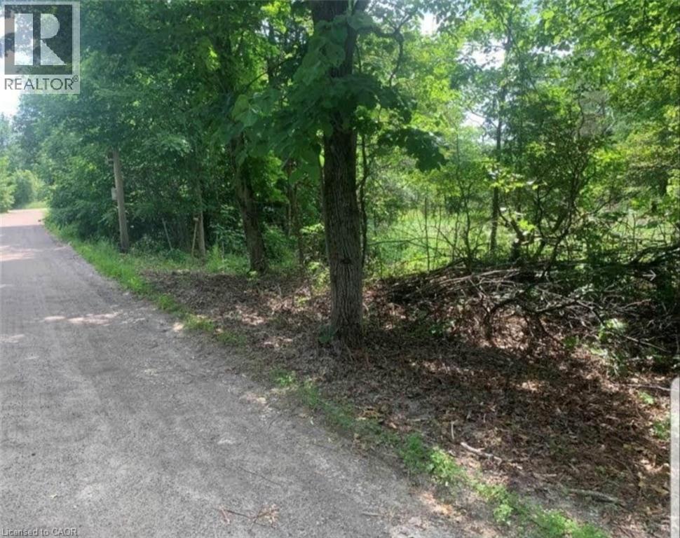 Lot 12 Suter Drive, Kawartha Lakes, Ontario  K0M 1B0 - Photo 4 - 40823795