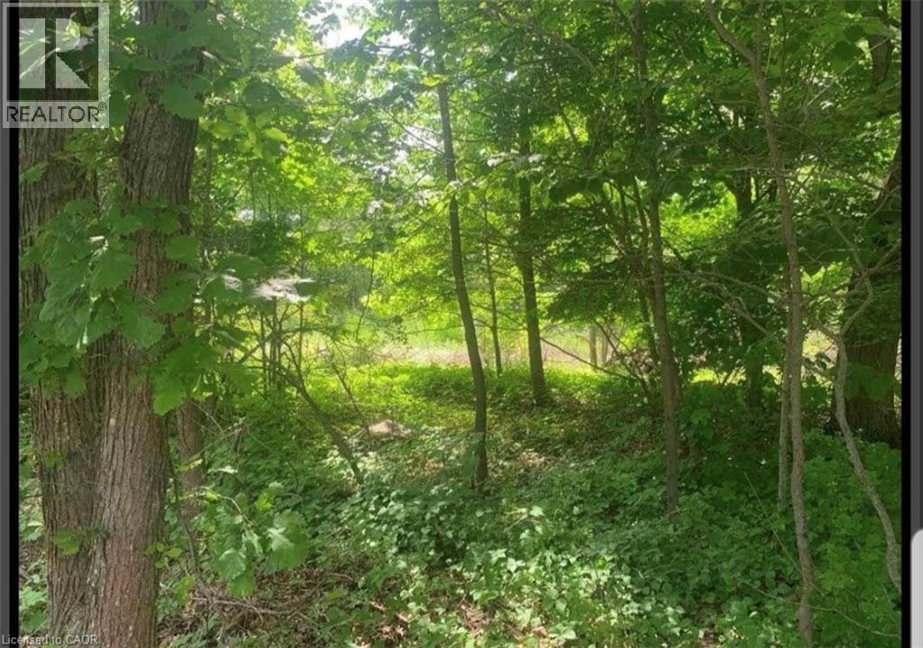 Lot 12 Suter Drive, Kawartha Lakes, Ontario  K0M 1B0 - Photo 9 - 40823795