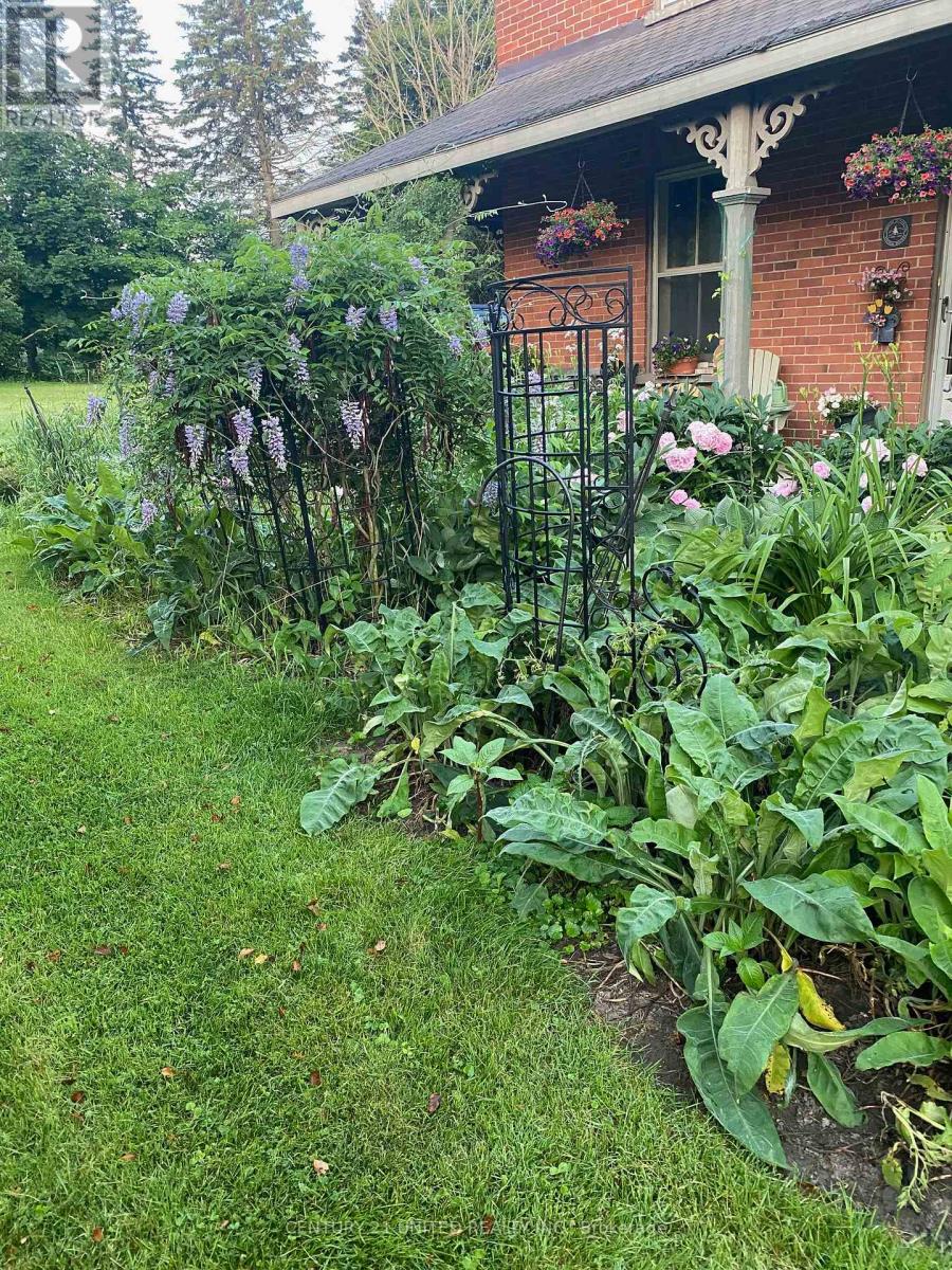 3756 Burnham Street, Hamilton Township, Ontario  K9A 4J9 - Photo 7 - X12690252