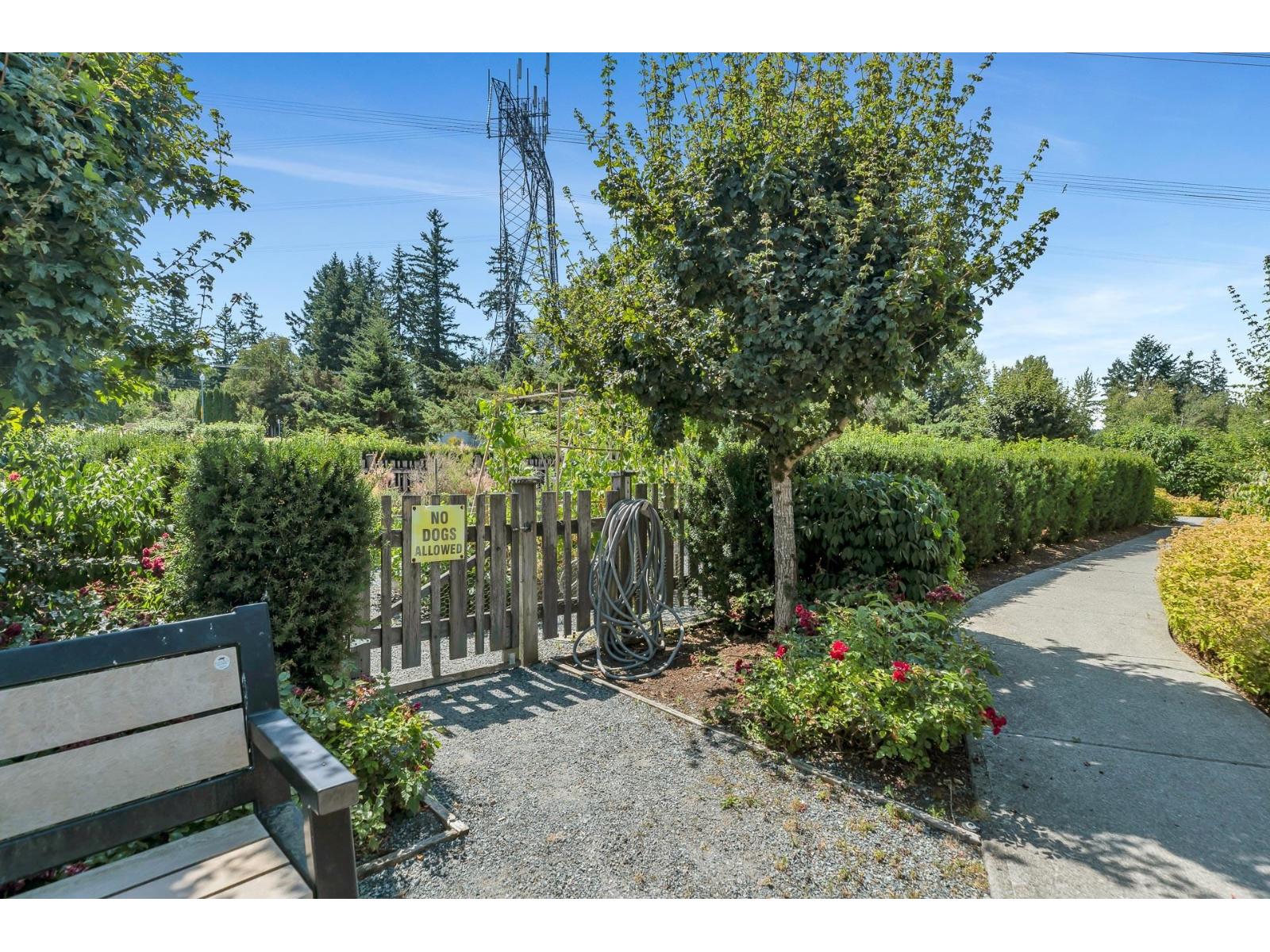 510 2855 156 Street, Surrey, British Columbia  V3Z 3Y3 - Photo 30 - R3115360