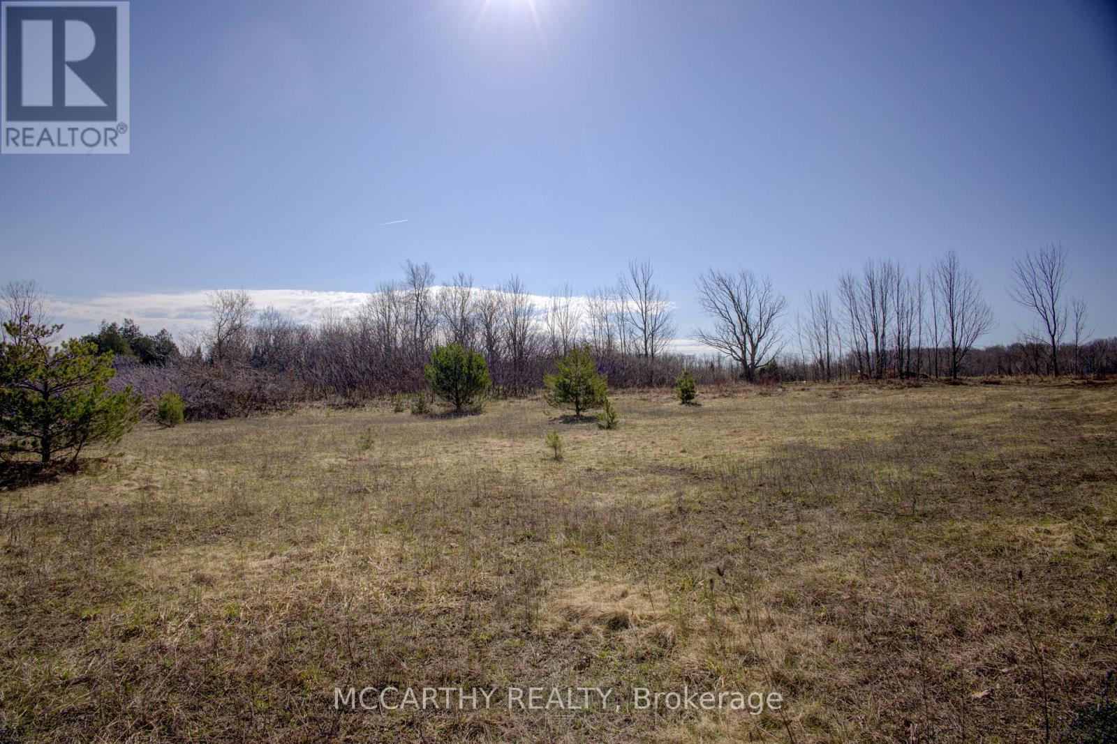 506206 Highway 89 Highway, Mono, Ontario  L9V 1H8 - Photo 46 - X12855782