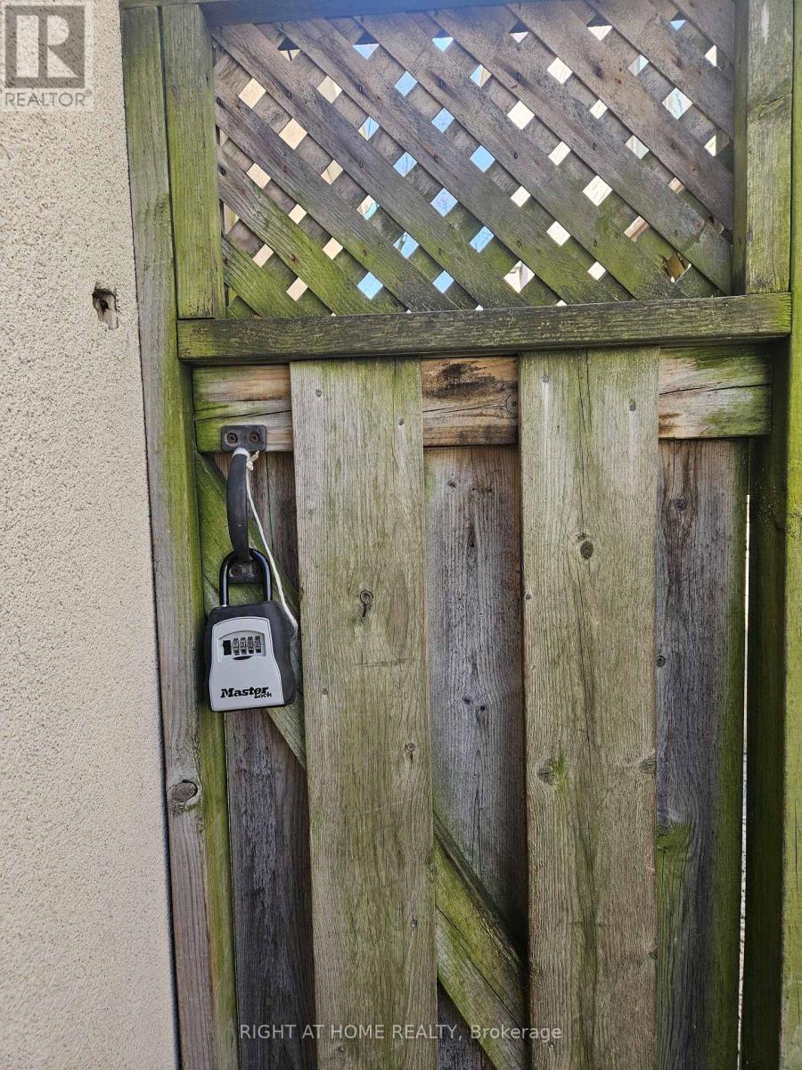 Basement - 41 Cameron Avenue, Toronto, Ontario  M2N 1C9 - Photo 9 - C13023134