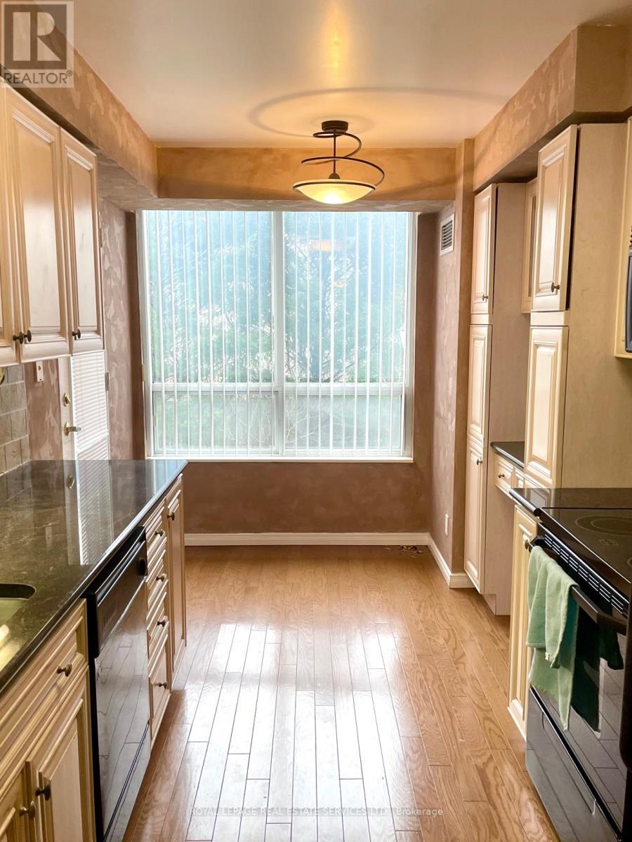 203 - 29 Northern Heights Drive, Richmond Hill, Ontario  L4B 4L8 - Photo 11 - N13038590