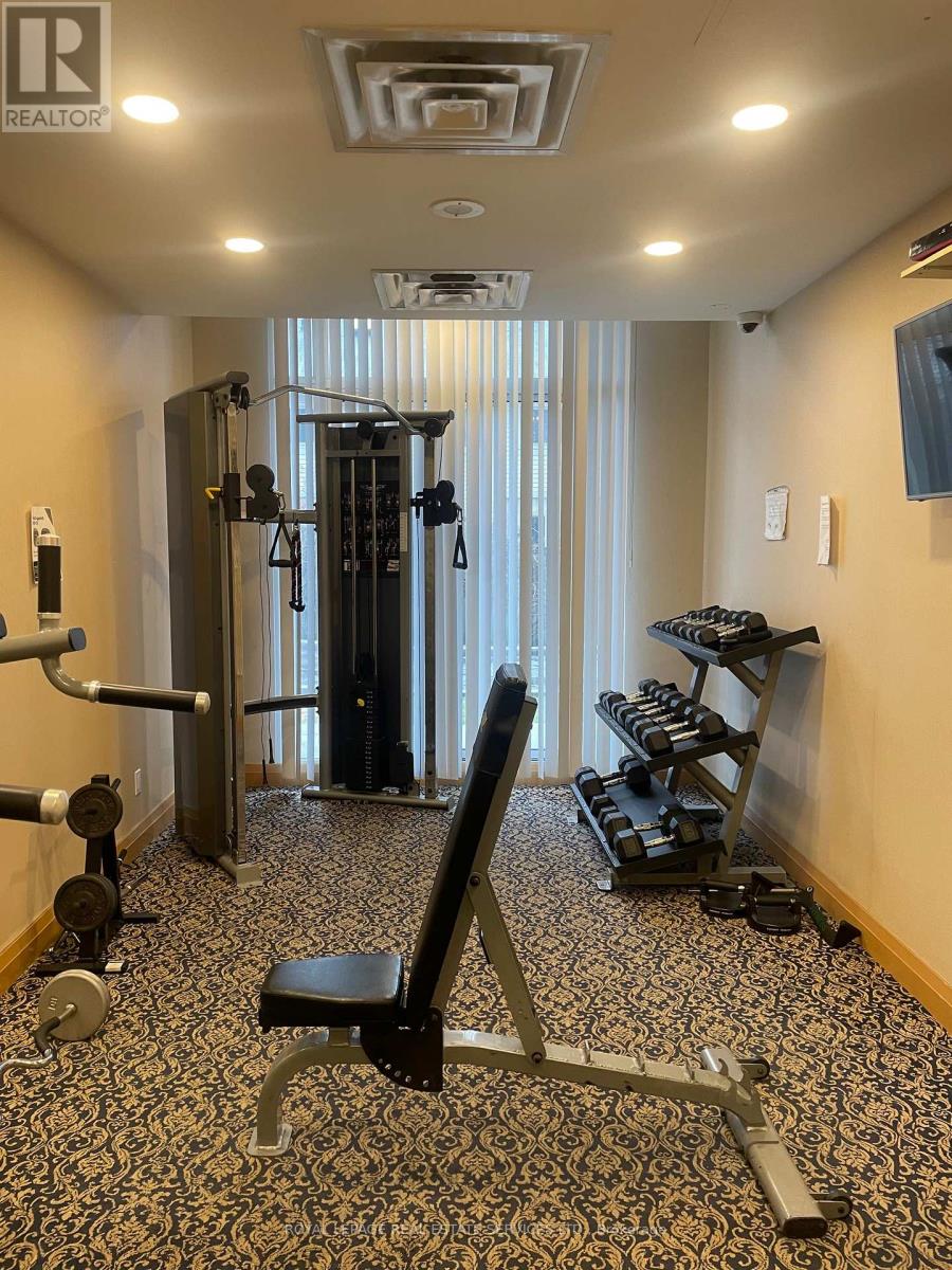 203 - 29 Northern Heights Drive, Richmond Hill, Ontario  L4B 4L8 - Photo 23 - N13038590