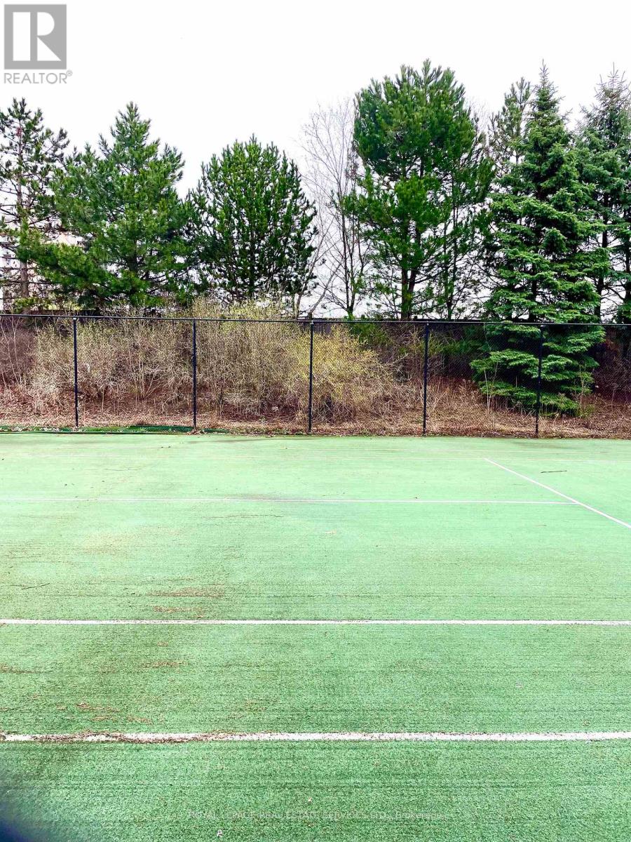 203 - 29 Northern Heights Drive, Richmond Hill, Ontario  L4B 4L8 - Photo 25 - N13038590