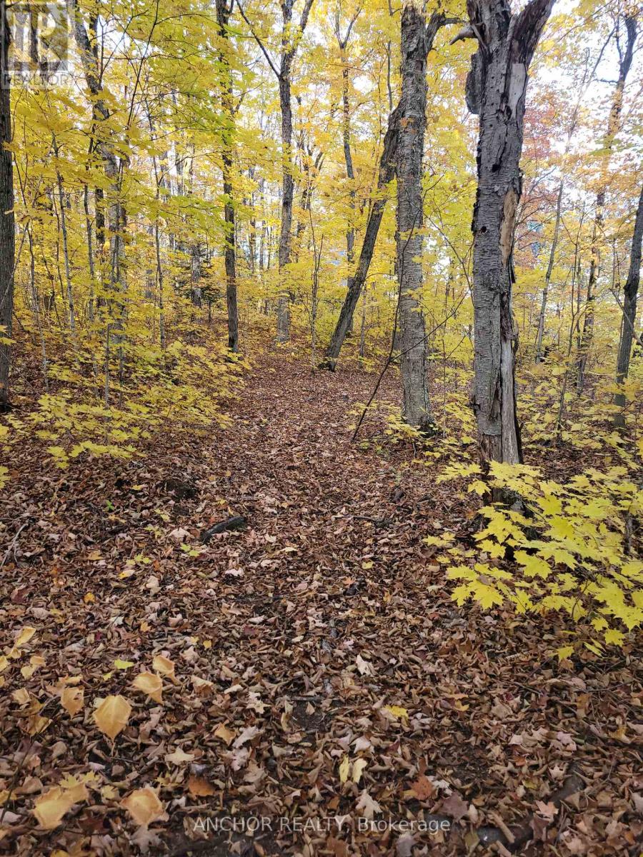 550 Shawanaga Lake, Mcdougall, Ontario  P0A 1G0 - Photo 19 - X13028410