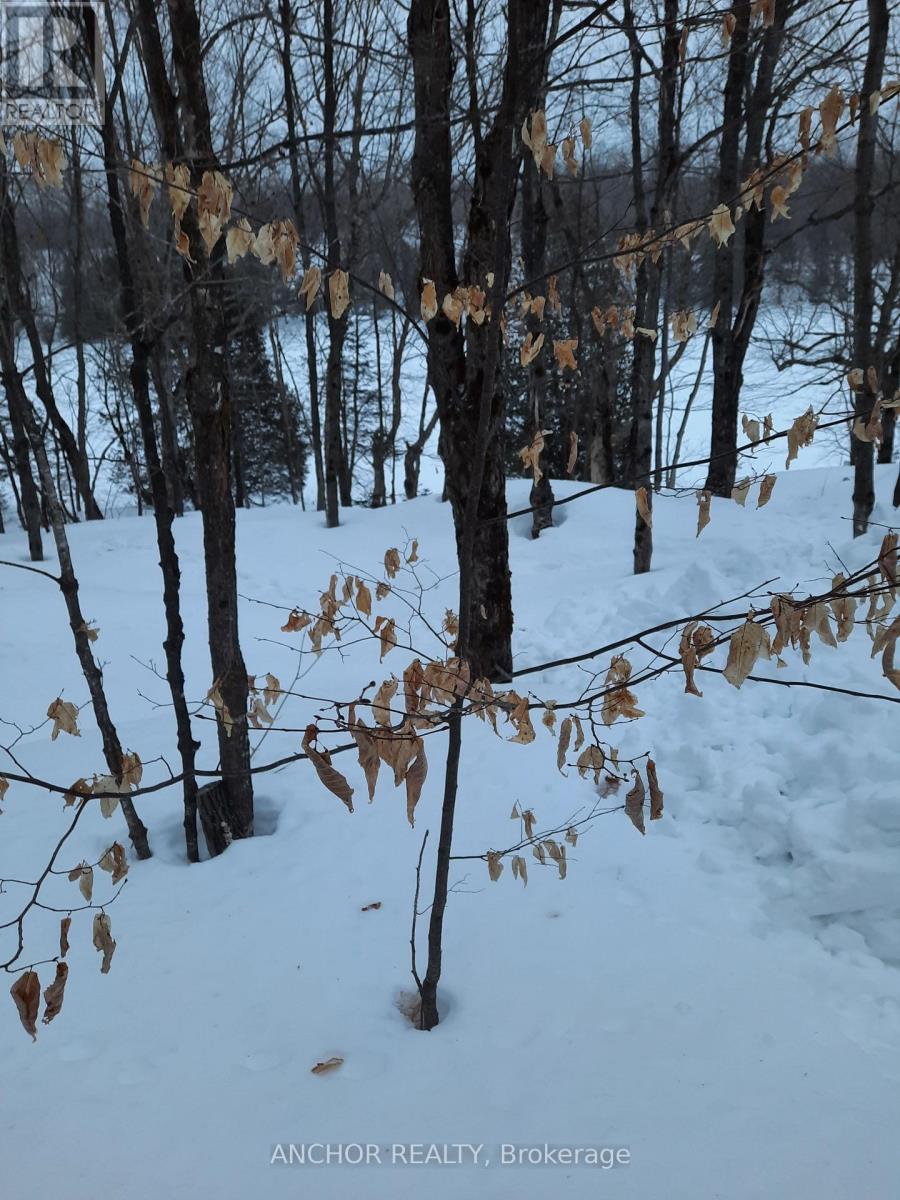 550 Shawanaga Lake, Mcdougall, Ontario  P0A 1G0 - Photo 35 - X13028410