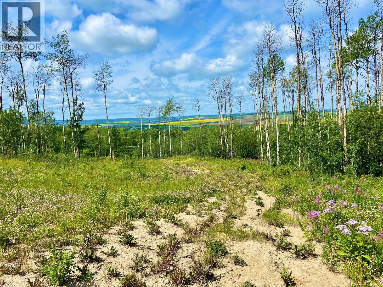 13062 Prince Subdivision, Dawson Creek, British Columbia  V1G 4E7 - Photo 6 - 10384705