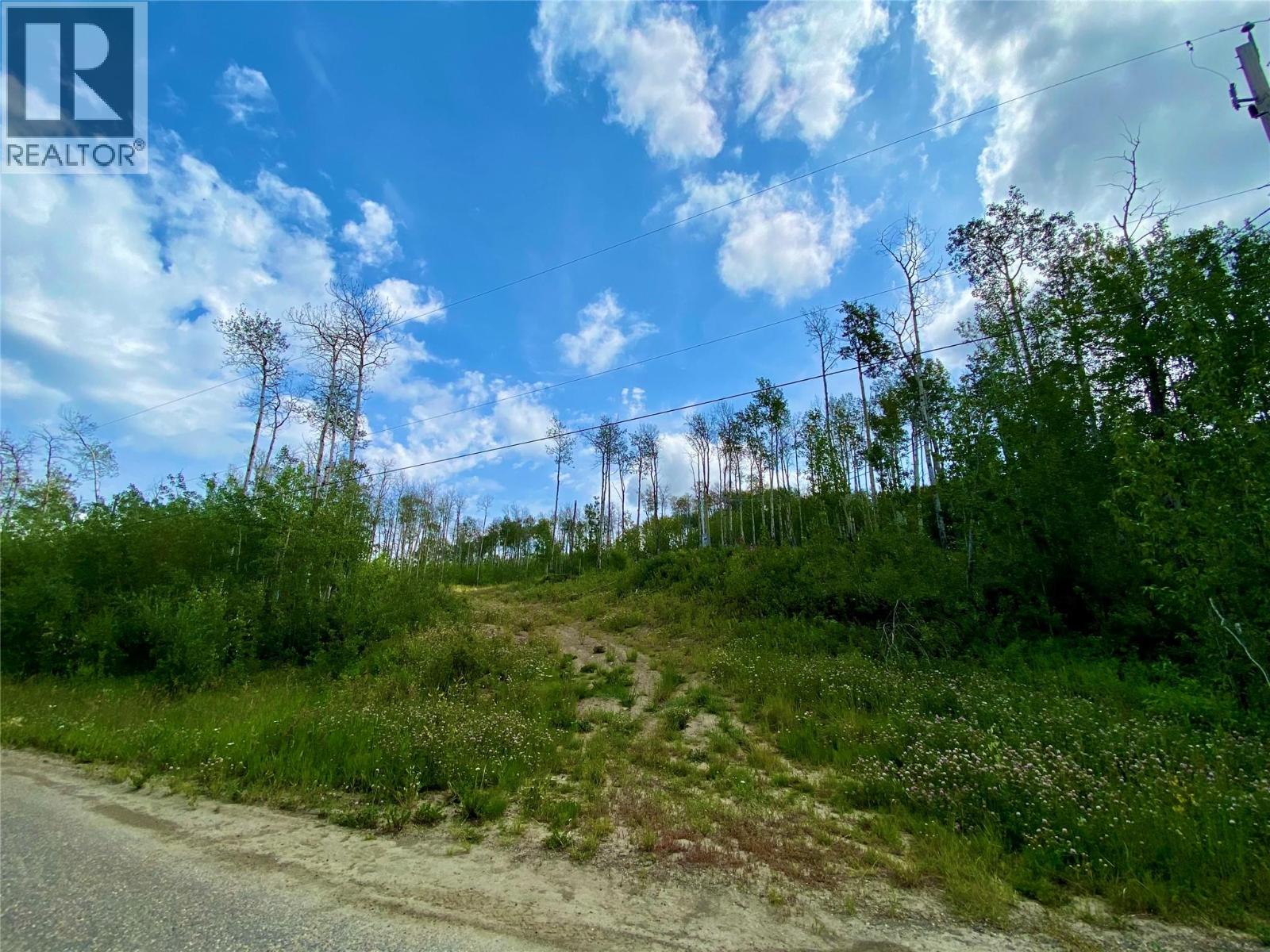 13062 Prince Subdivision, Dawson Creek, British Columbia  V1G 4E7 - Photo 9 - 10384705