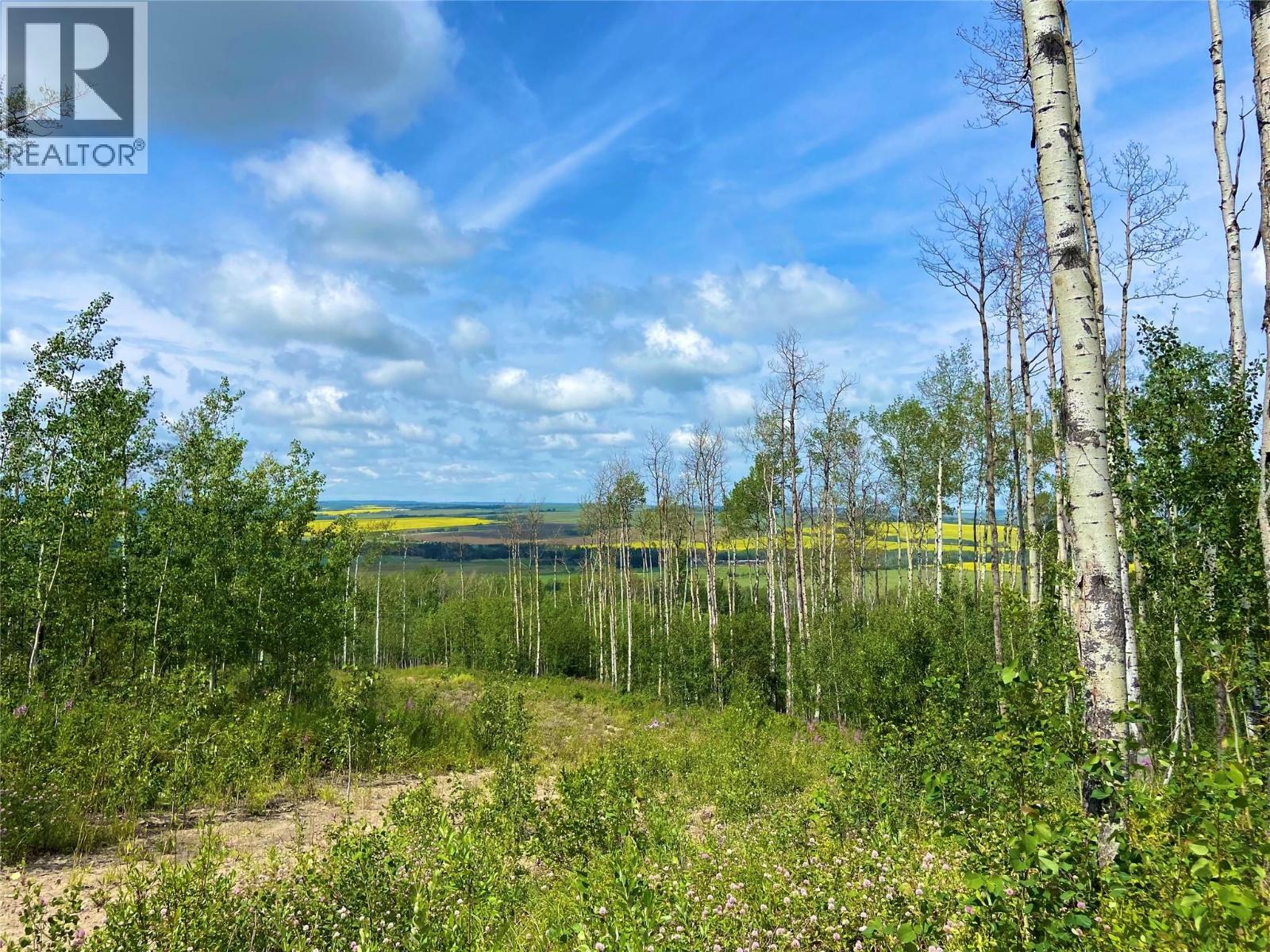 13062 Prince Subdivision, Dawson Creek, British Columbia  V1G 4E7 - Photo 2 - 10384705