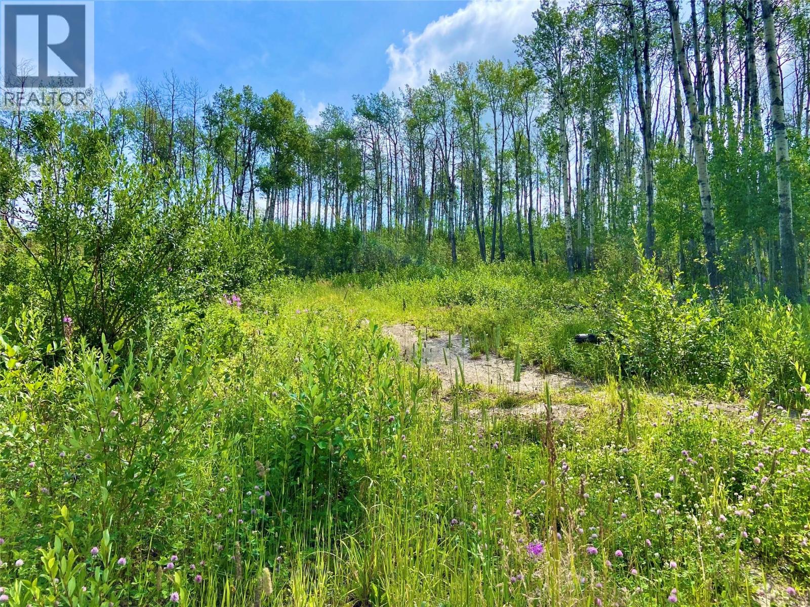 13062 Prince Subdivision, Dawson Creek, British Columbia  V1G 4E7 - Photo 8 - 10384705