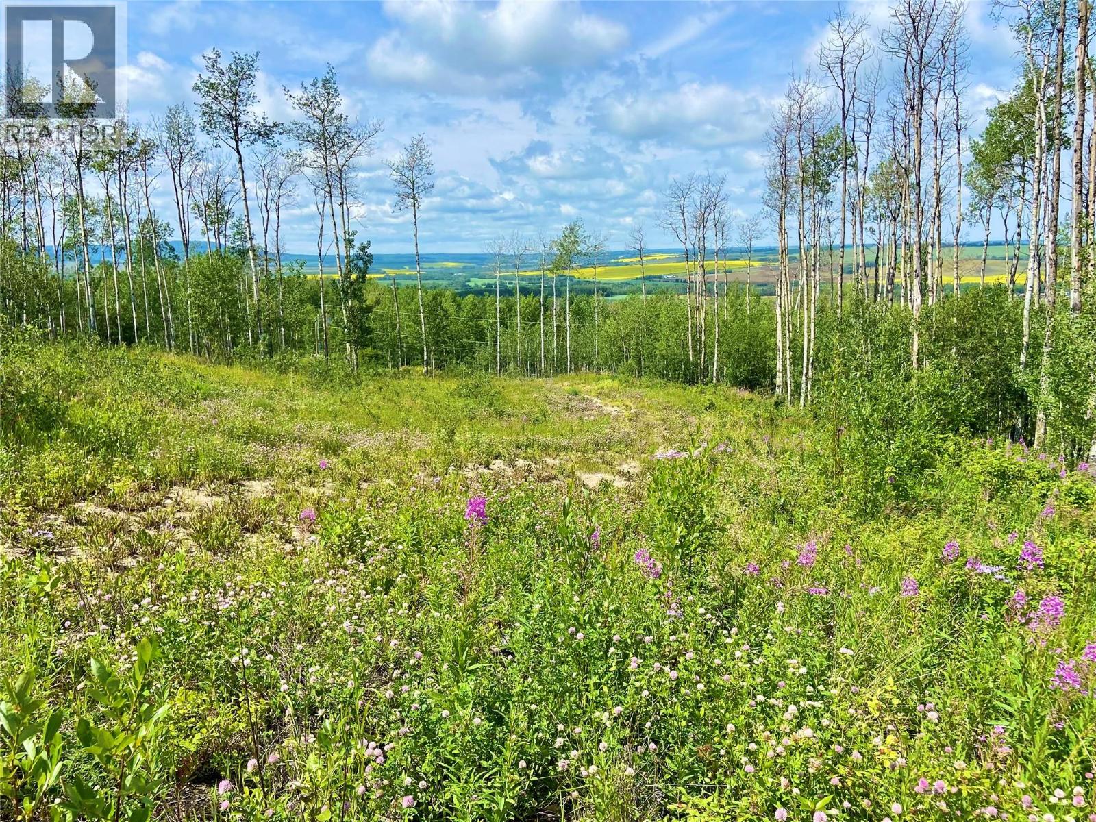 13062 Prince Subdivision, Dawson Creek, British Columbia  V1G 4E7 - Photo 3 - 10384705