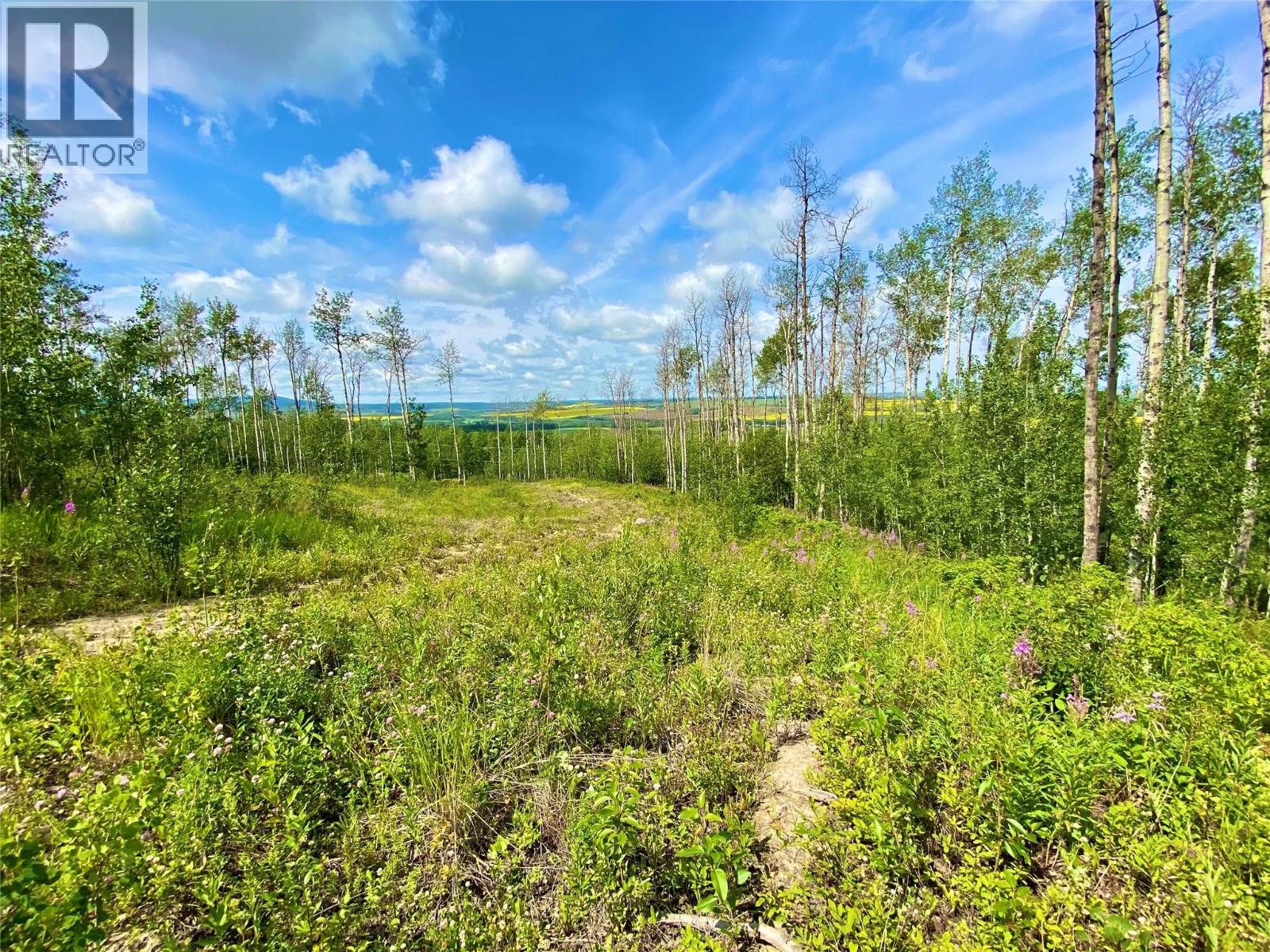 13062 Prince Subdivision, Dawson Creek, British Columbia  V1G 4E7 - Photo 5 - 10384705