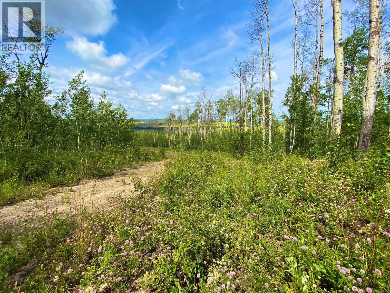 13062 Prince Subdivision, Dawson Creek, British Columbia  V1G 4E7 - Photo 10 - 10384705