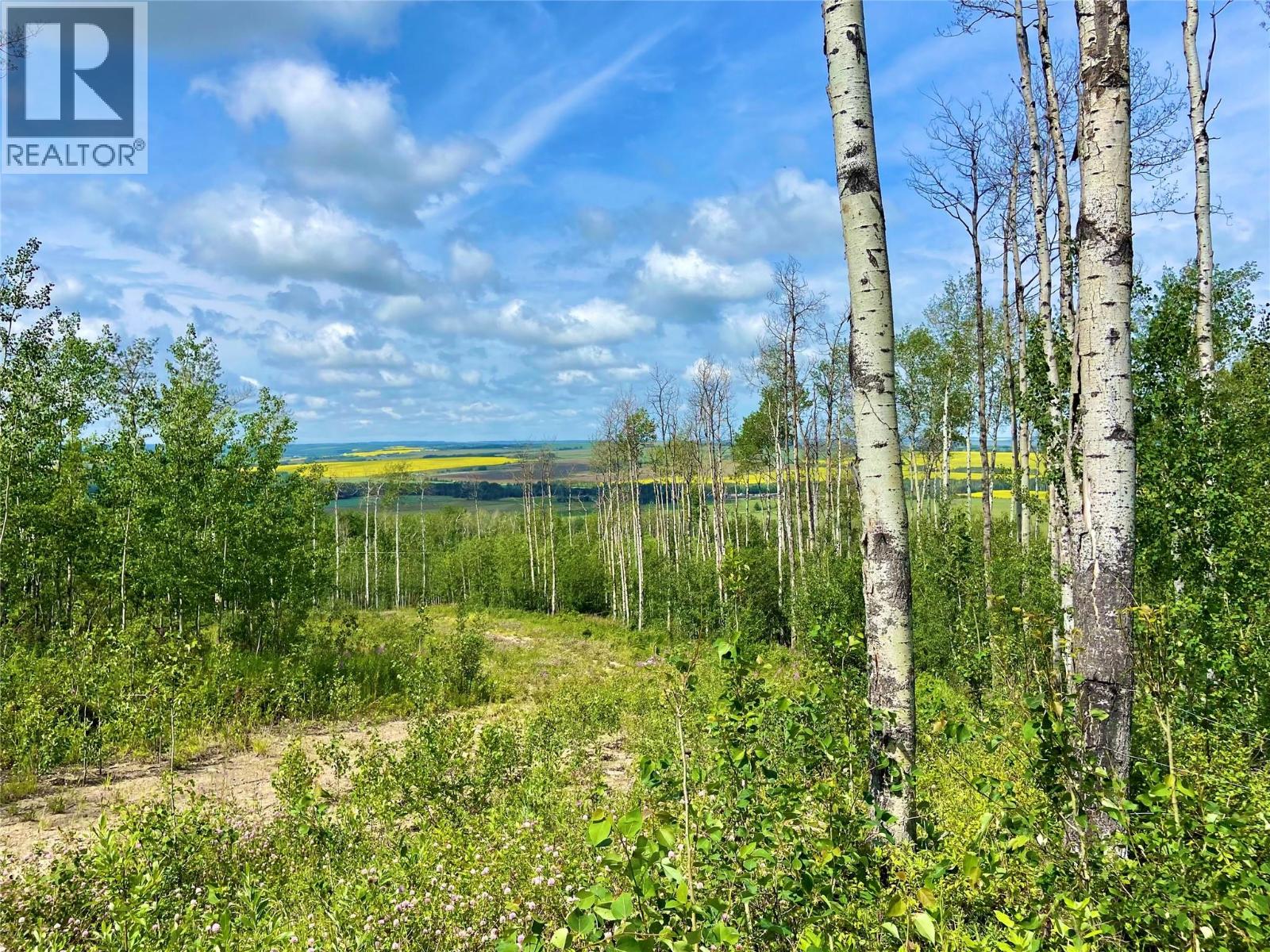 13062 Prince Subdivision, Dawson Creek, British Columbia  V1G 4E7 - Photo 7 - 10384705