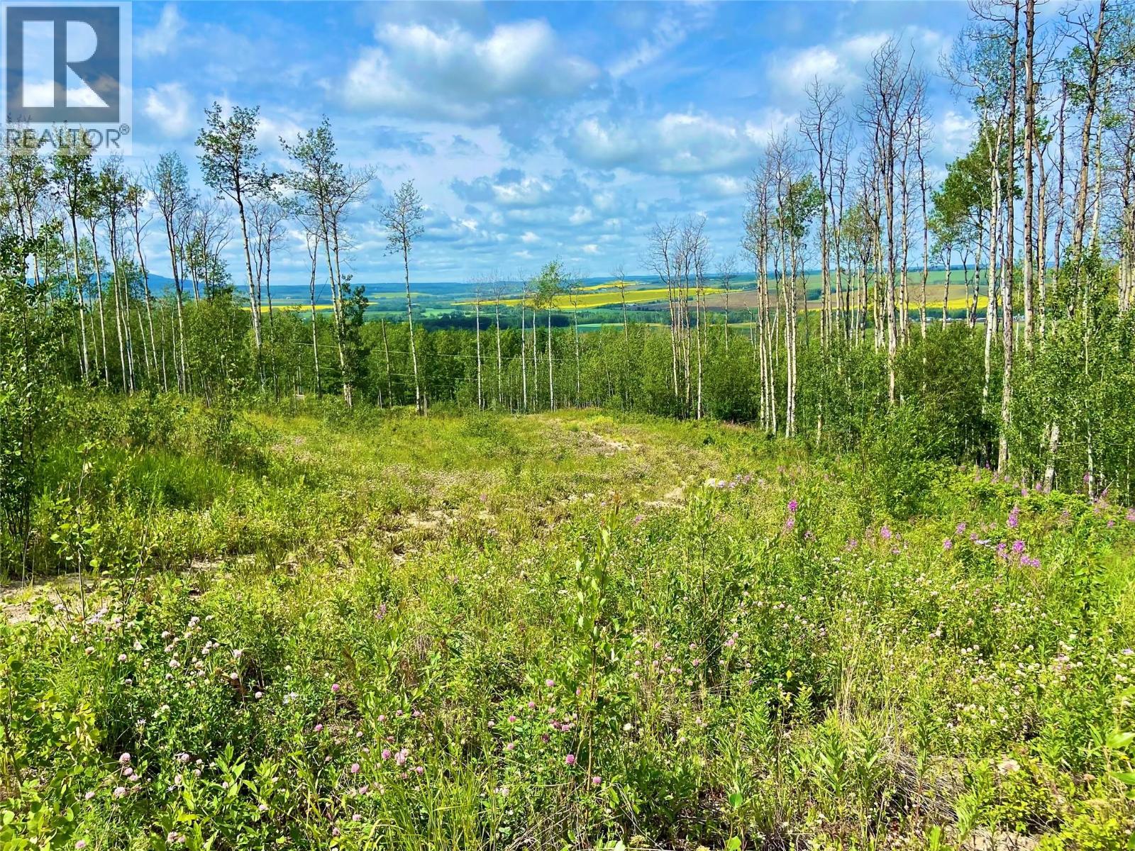 13062 Prince Subdivision, Dawson Creek, British Columbia  V1G 4E7 - Photo 4 - 10384705