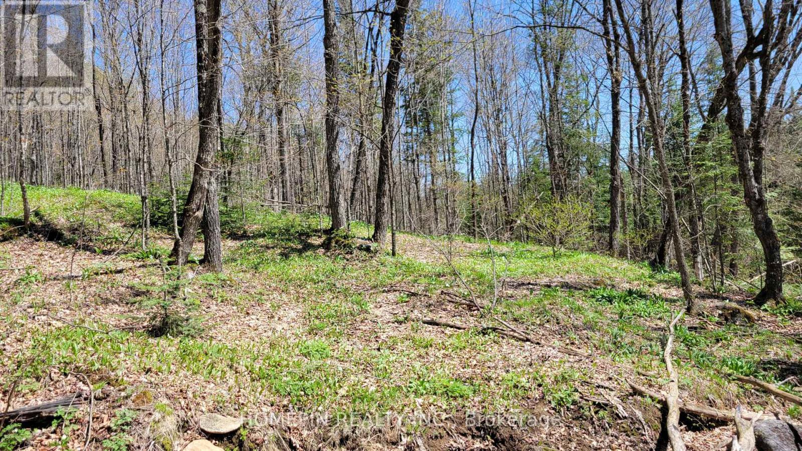 673 Buckshot Lake Road, Addington Highlands, Ontario  K0H 1K0 - Photo 5 - X13038720