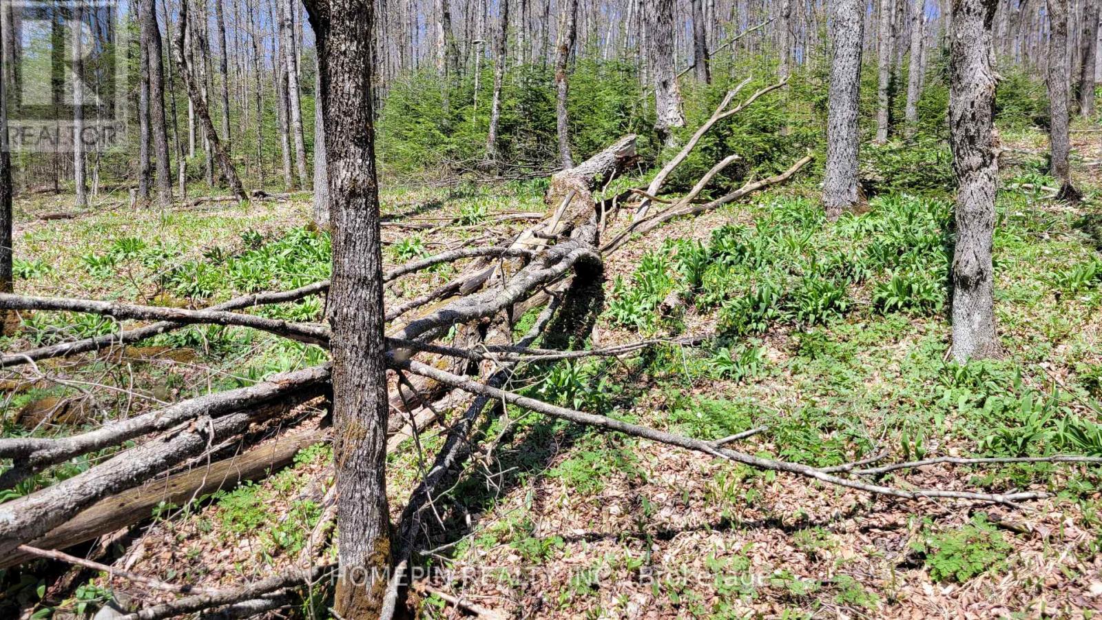 673 Buckshot Lake Road, Addington Highlands, Ontario  K0H 1K0 - Photo 6 - X13038720