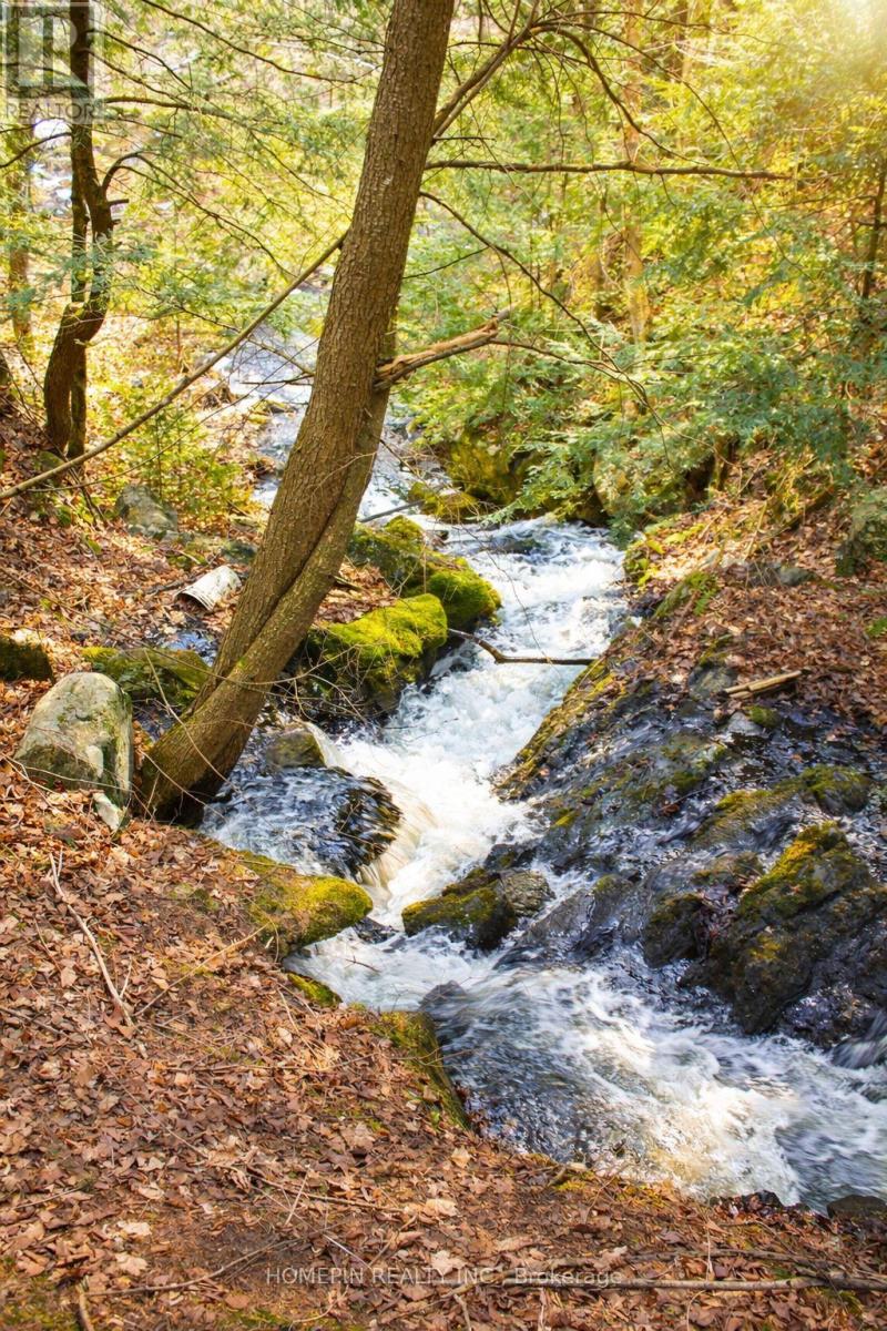 673 Buckshot Lake Road, Addington Highlands, Ontario  K0H 1K0 - Photo 8 - X13038720