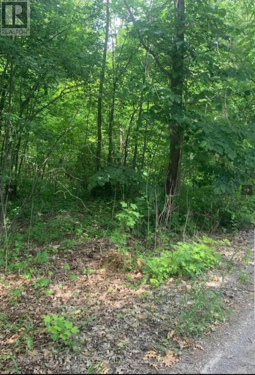 LOT 12 SUTER DRIVE, Kawartha Lakes, Ontario