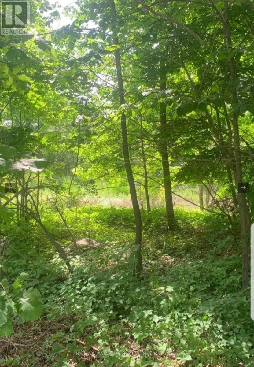 Lot 12 Suter Drive, Kawartha Lakes, Ontario  K0M 1B0 - Photo 2 - X13038738