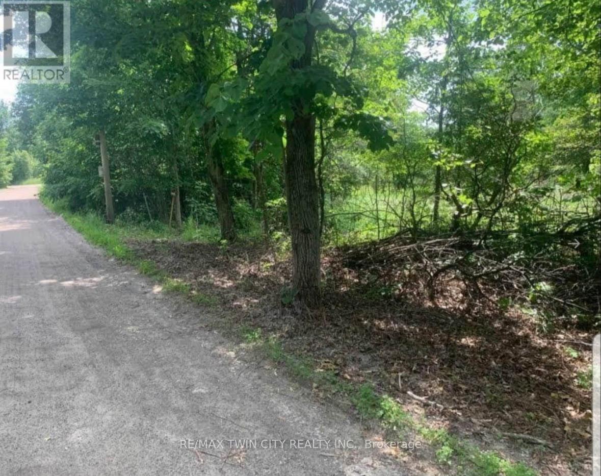 Lot 12 Suter Drive, Kawartha Lakes, Ontario  K0M 1B0 - Photo 4 - X13038738