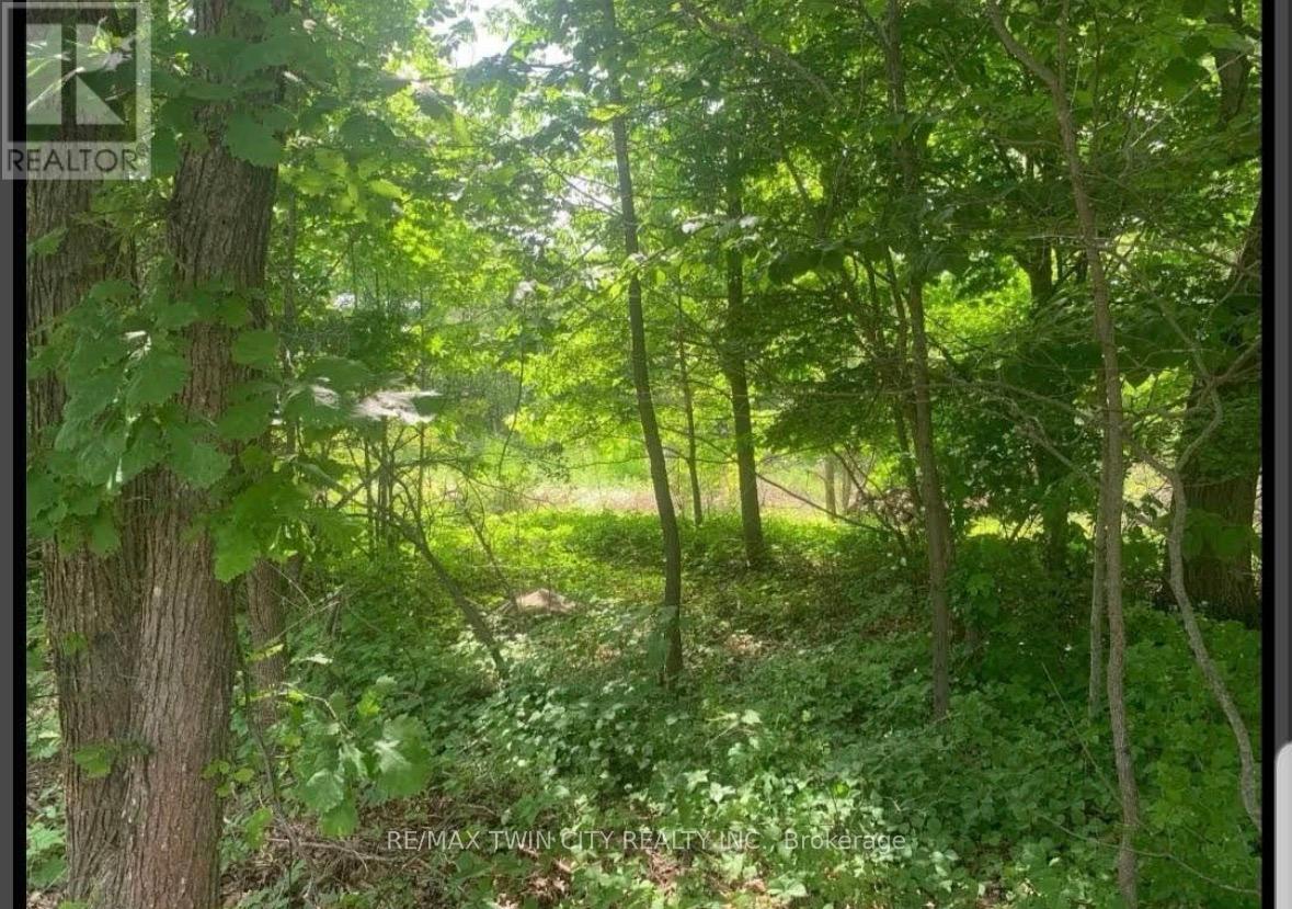 Lot 12 Suter Drive, Kawartha Lakes, Ontario  K0M 1B0 - Photo 6 - X13038738