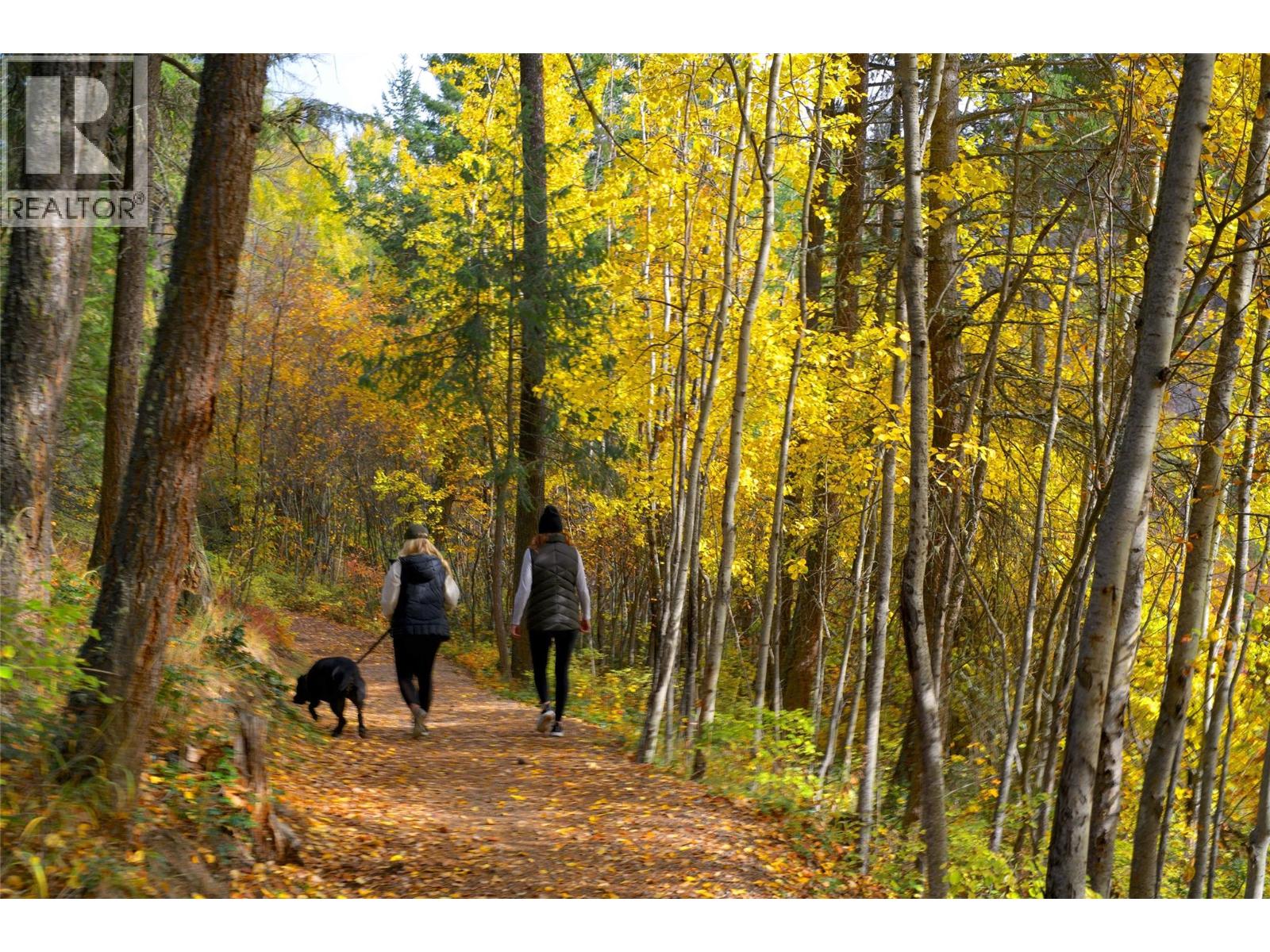 164 Wildsong Crescent Vernon, BC V1H1Y6_41