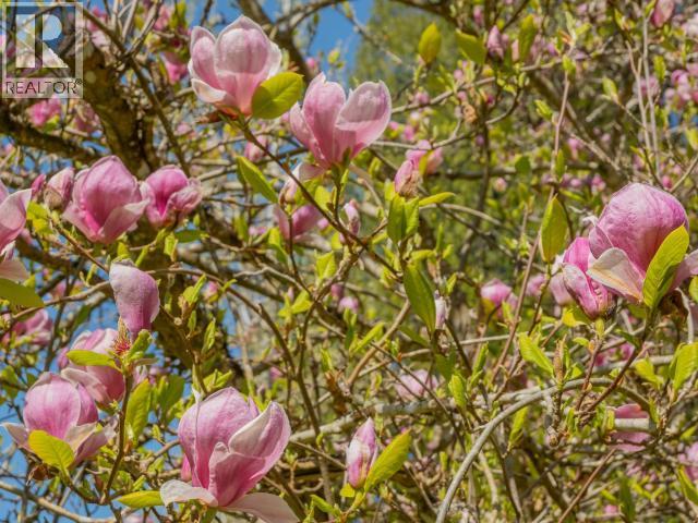 12149 Scotch Fir Point Rd, Powell River, British Columbia  V8A 0M4 - Photo 10 - 19827