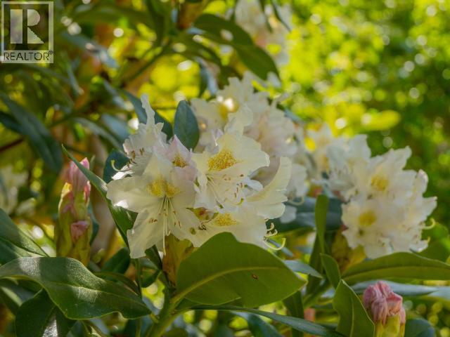 12149 Scotch Fir Point Rd, Powell River, British Columbia  V8A 0M4 - Photo 19 - 19827