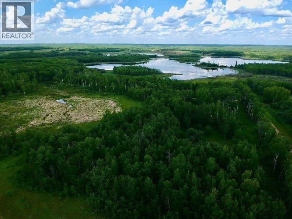 62, 50226 Range Road 204, Rural Beaver County, Alberta  T0B 4A0 - Photo 10 - A1240555