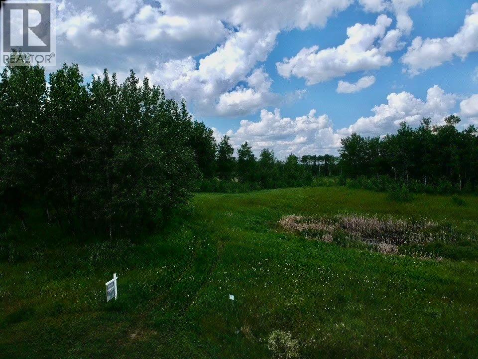 62, 50226 Range Road 204, Rural Beaver County, Alberta  T0B 4A0 - Photo 7 - A1240555