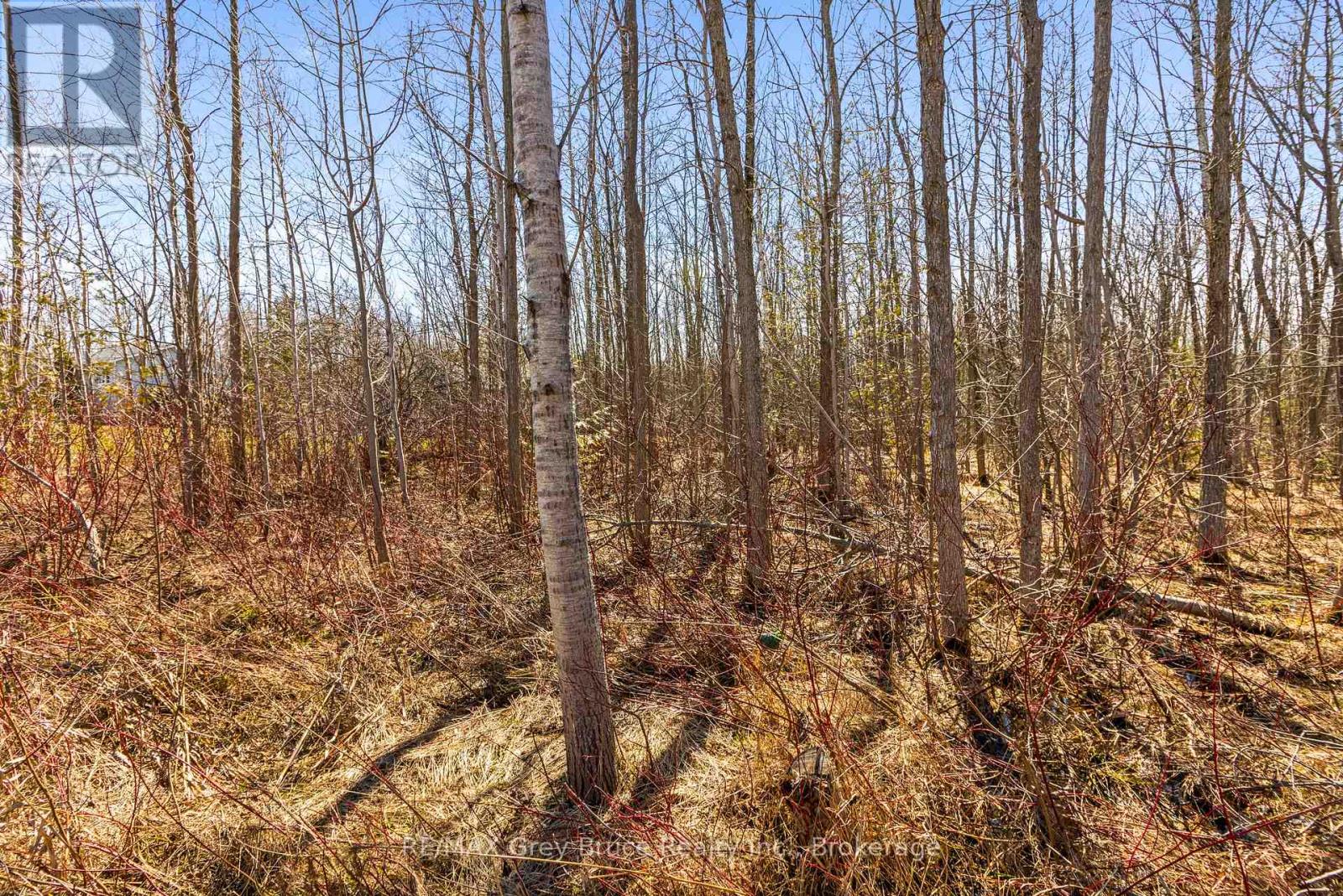 Part 28 Maple Drive, Northern Bruce Peninsula, Ontario  N0H 1Z0 - Photo 10 - X13038808