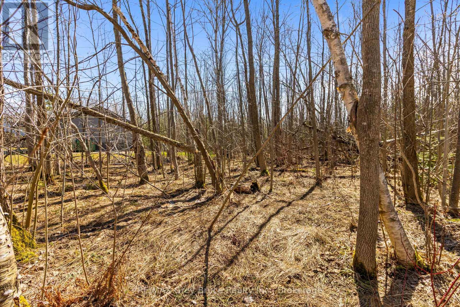 Part 28 Maple Drive, Northern Bruce Peninsula, Ontario  N0H 1Z0 - Photo 12 - X13038808