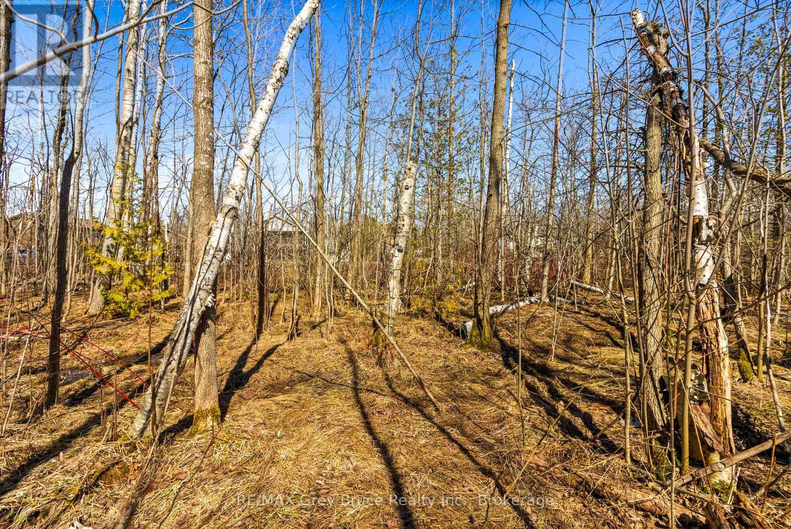 Part 28 Maple Drive, Northern Bruce Peninsula, Ontario  N0H 1Z0 - Photo 13 - X13038808