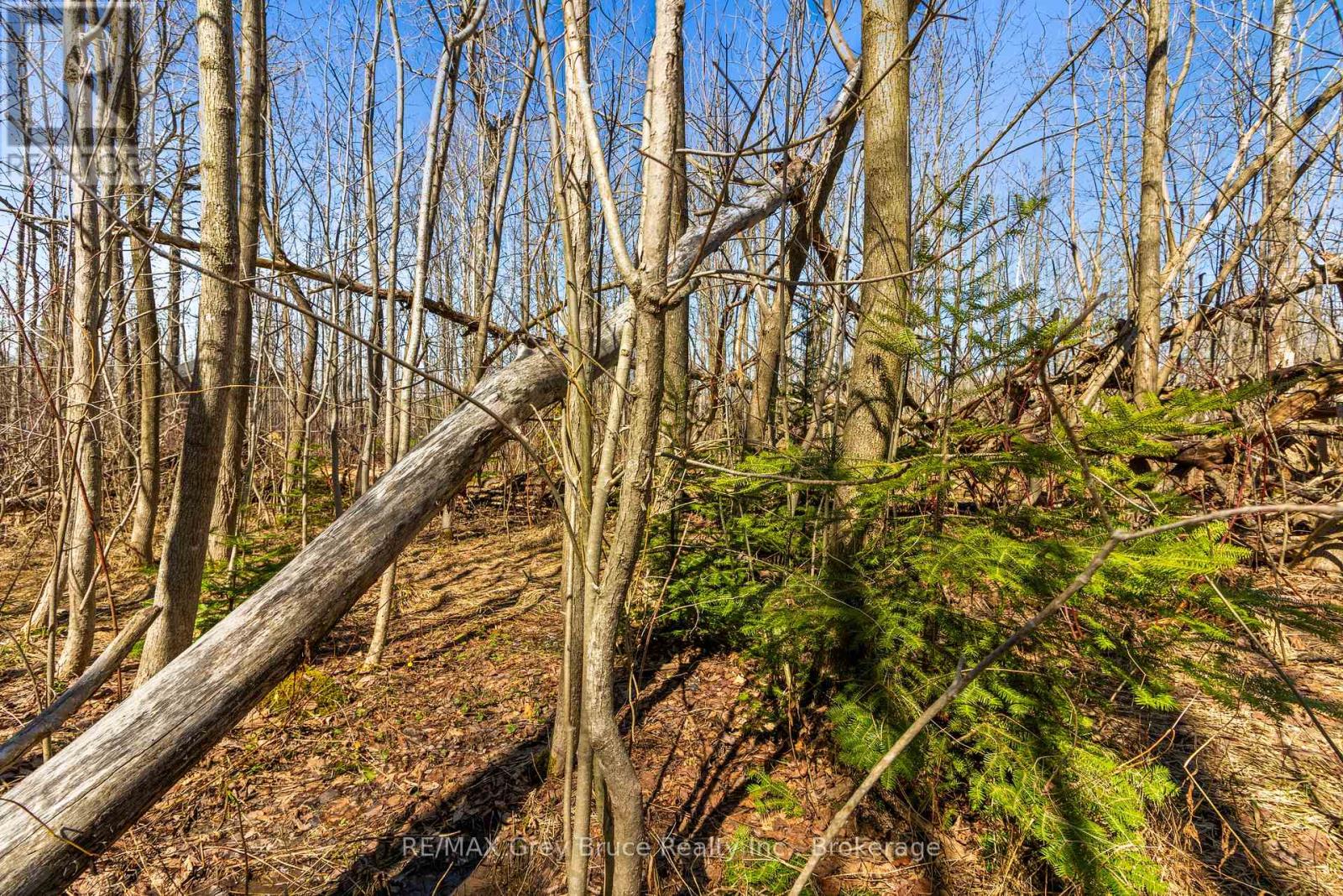 Part 28 Maple Drive, Northern Bruce Peninsula, Ontario  N0H 1Z0 - Photo 14 - X13038808