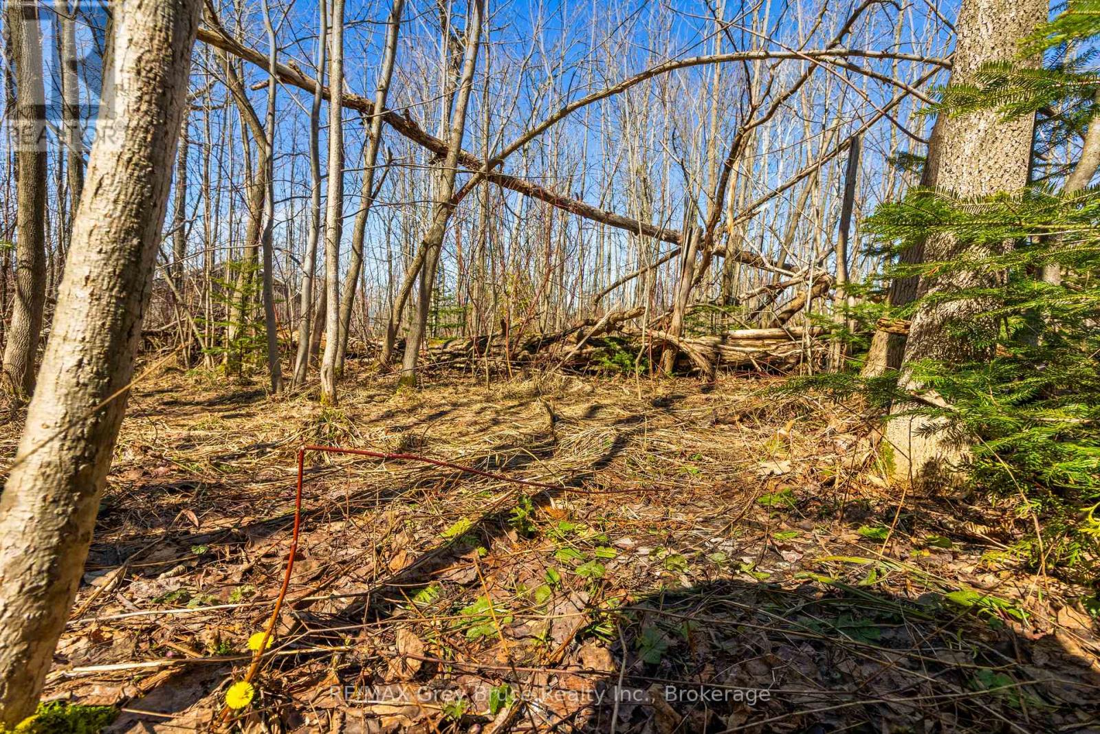 Part 28 Maple Drive, Northern Bruce Peninsula, Ontario  N0H 1Z0 - Photo 15 - X13038808