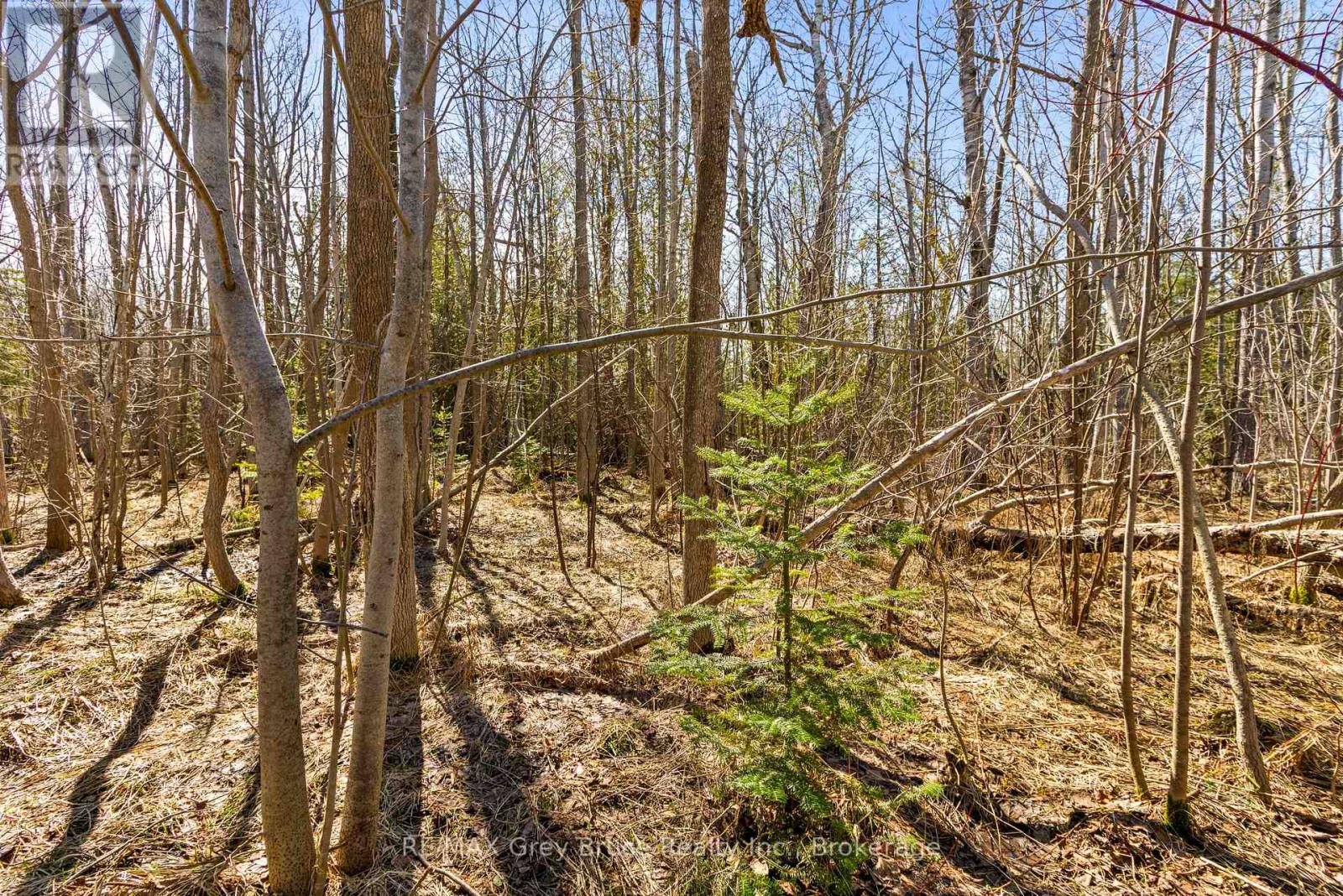 Part 28 Maple Drive, Northern Bruce Peninsula, Ontario  N0H 1Z0 - Photo 16 - X13038808